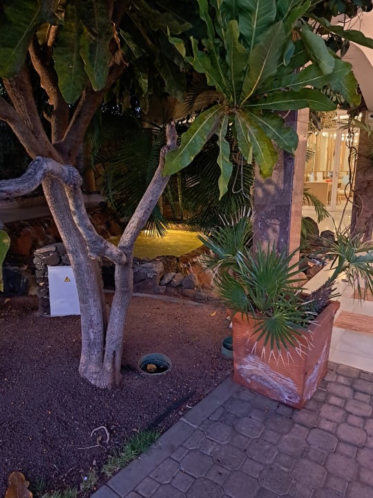 Außenansicht R2 BUGANVILLA Hotel & Spa