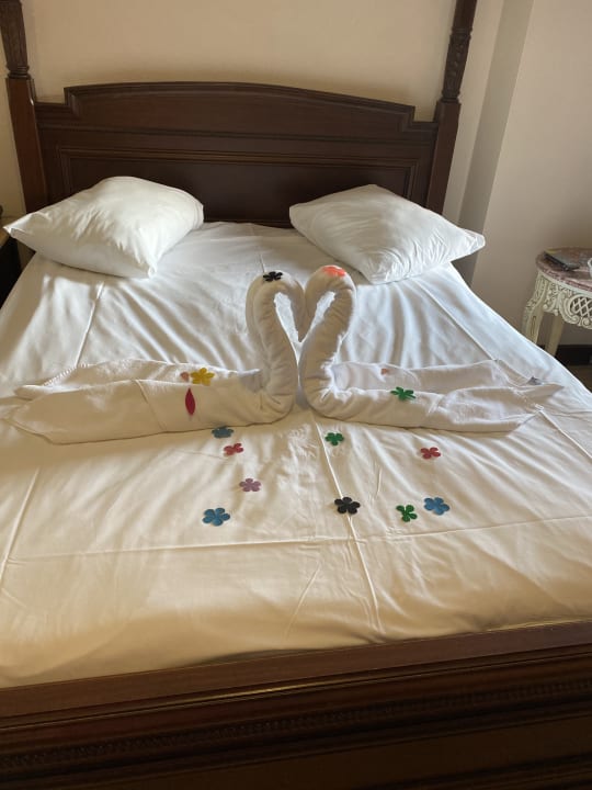 Zimmer Hotel Delphin Palace