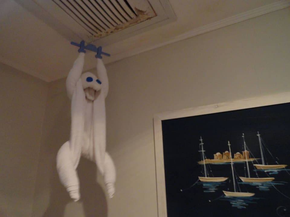 Местный Карлсон Stella Garden Resort & Spa, Makadi Bay