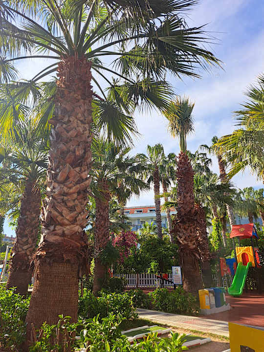 Gartenanlage Hane Family Resort