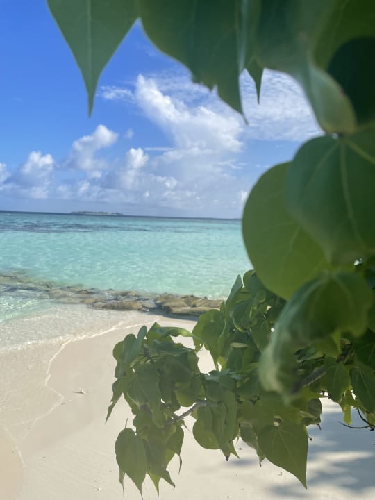 Strand ROBINSON NOONU