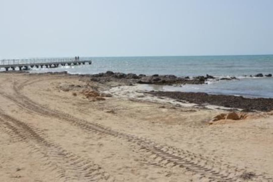 Strand - Seegras Hotel El Mouradi Djerba Menzel