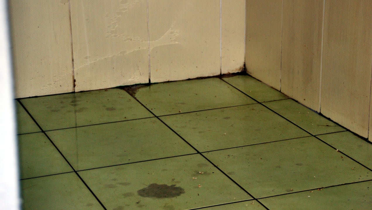 Fußboden Poolanlage Hotel Orfeus Park