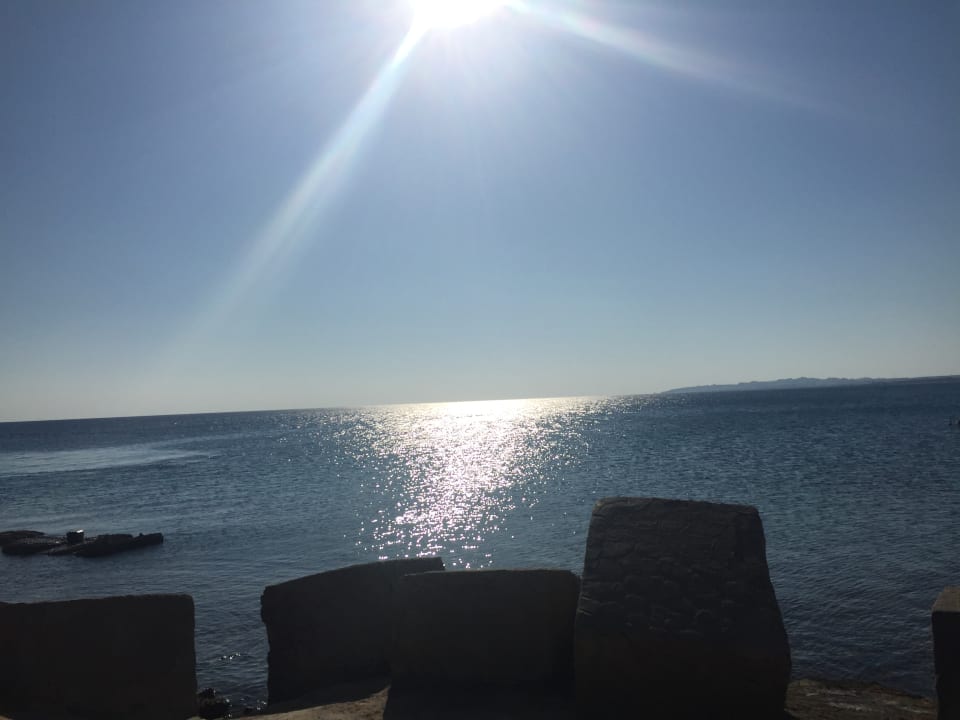 Ausblick Beach Albatros Resort