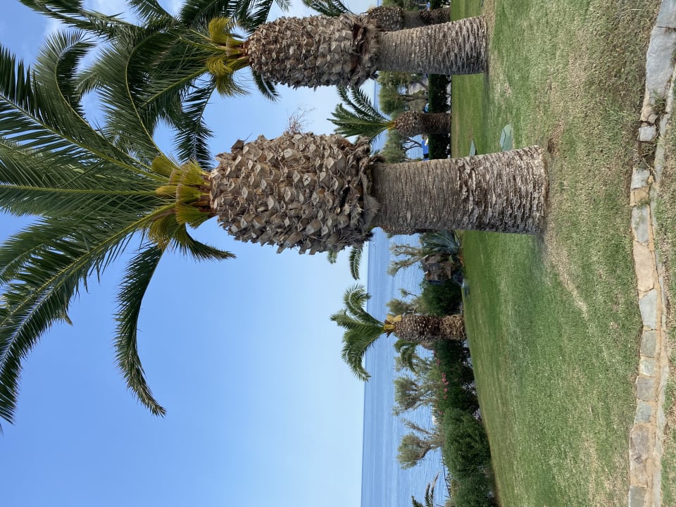 Ausblick Iberostar Waves Creta Panorama & Mare