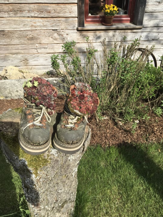 Sonstiges Landhotel Zum Singenden Musikantenwirt