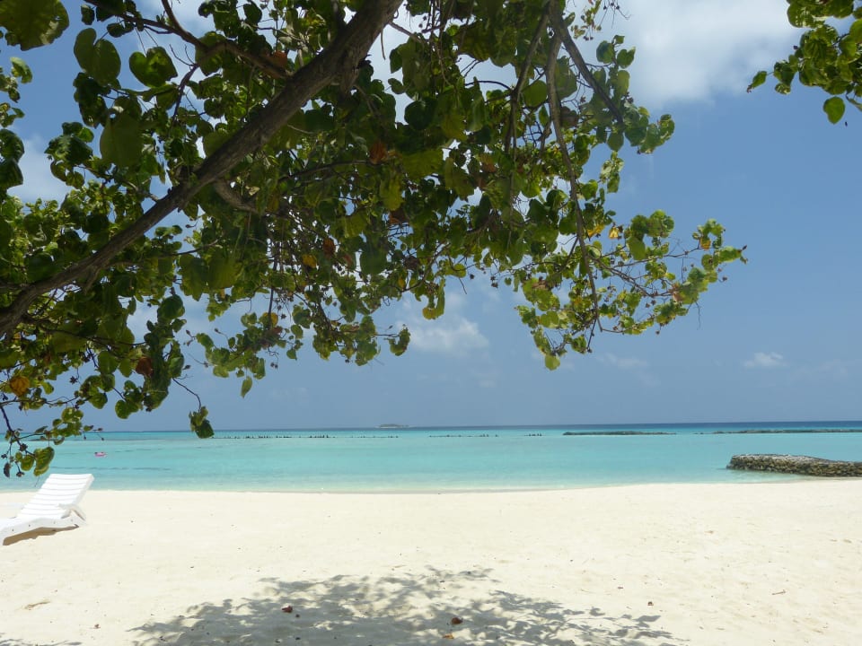 Standardbungalow 24 Summer Island Maldives