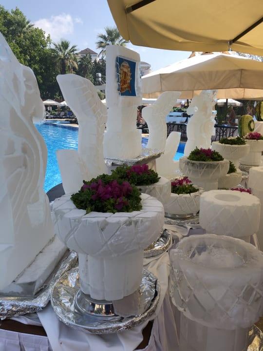 Gastro Side Star Elegance