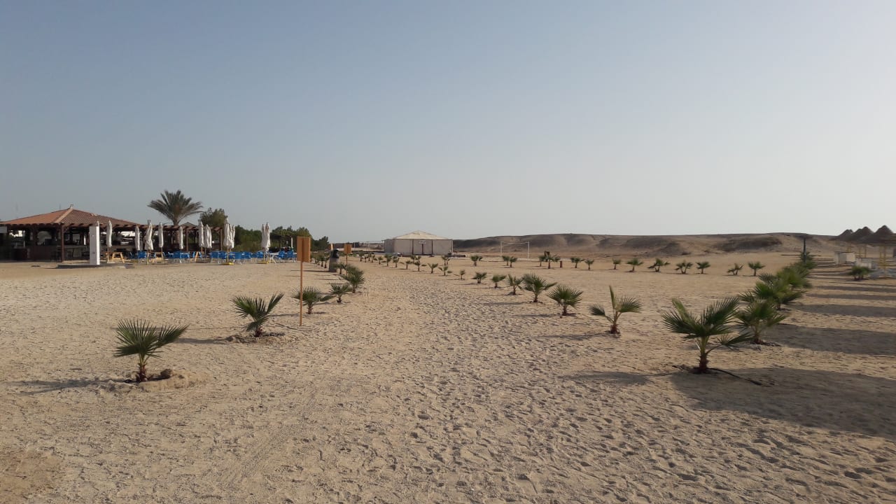 Der Weg vom Strand zur Hotelanlage und Strandbar  Hilton Marsa Alam Nubian Resort