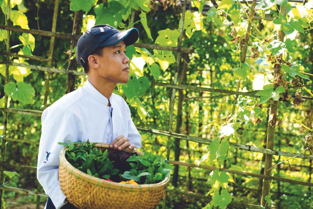Gartenanlage ROBINSON NAM HOI AN