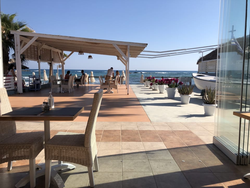 Gastro Compass Beach