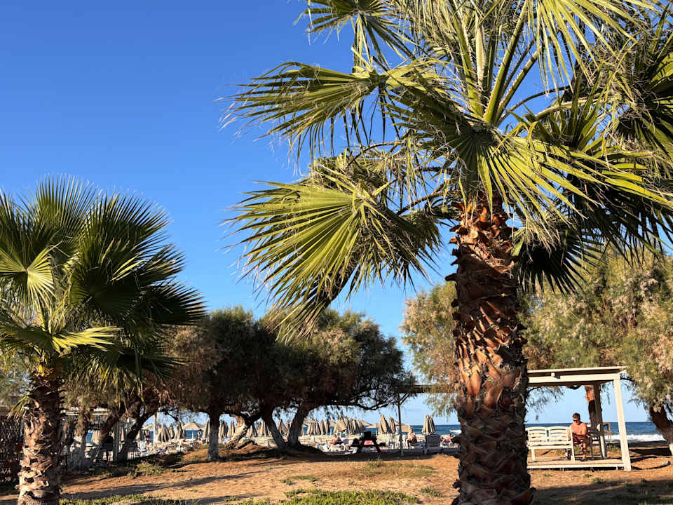 Strand Mythos Palace Resort & Spa