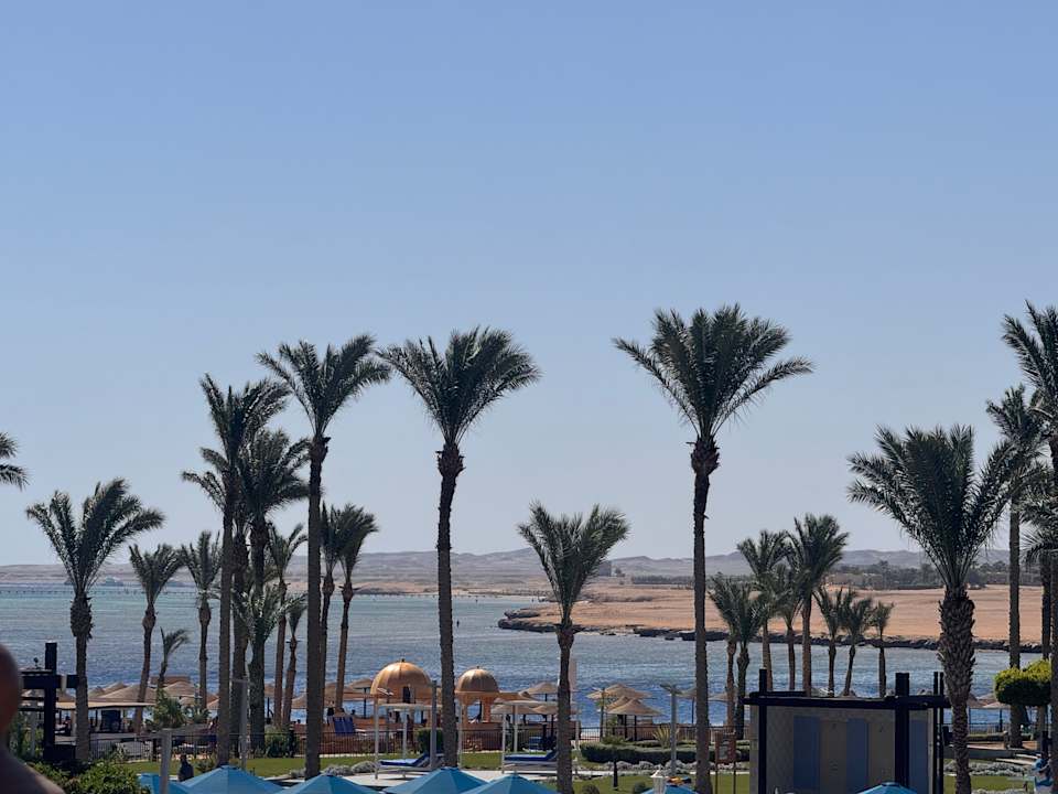 Strand Pickalbatros Palace Hotel-Port Ghalib