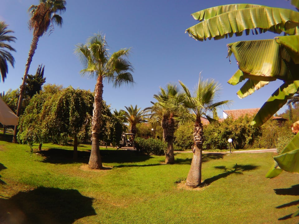 Gartenanlage Starlight Resort Hotel