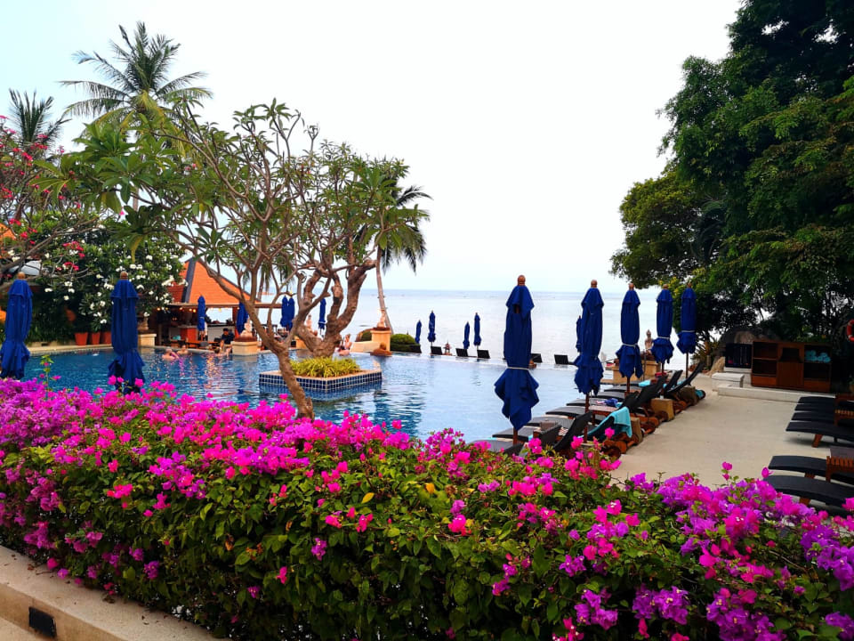 Pool Renaissance Koh Samui Resort & Spa