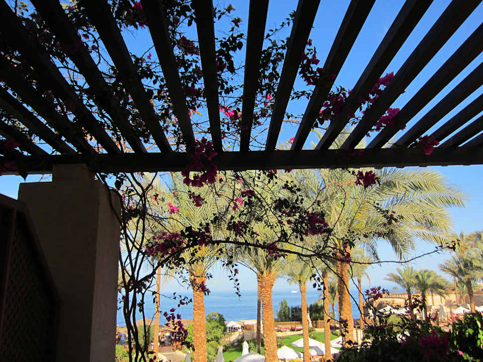 Ausblick The Grand Hotel Sharm El Sheikh