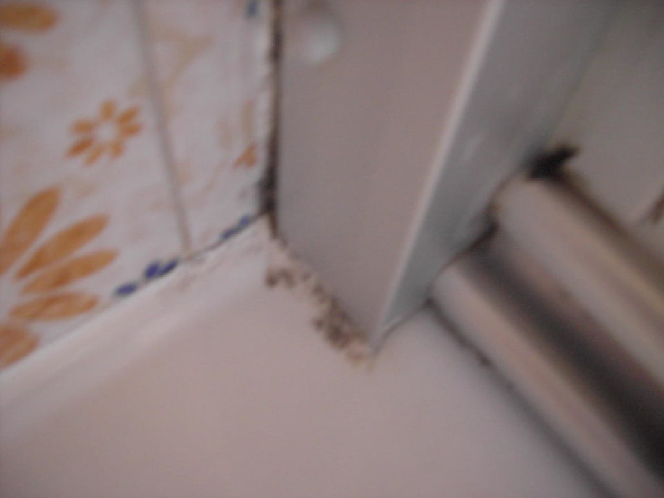 Dusche Pension Carola