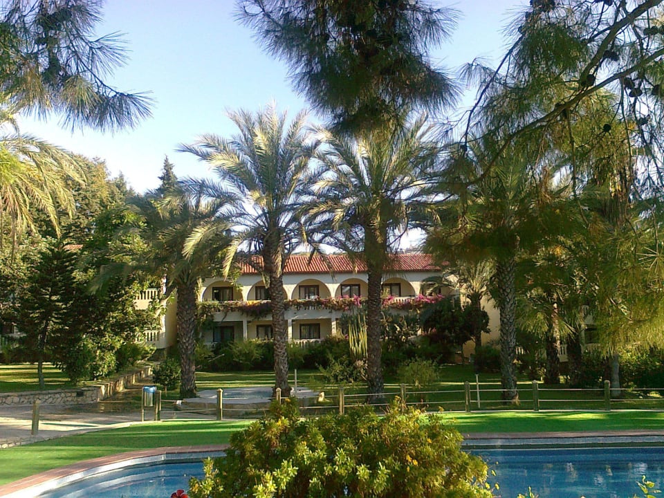Am Pool Alara Hotel