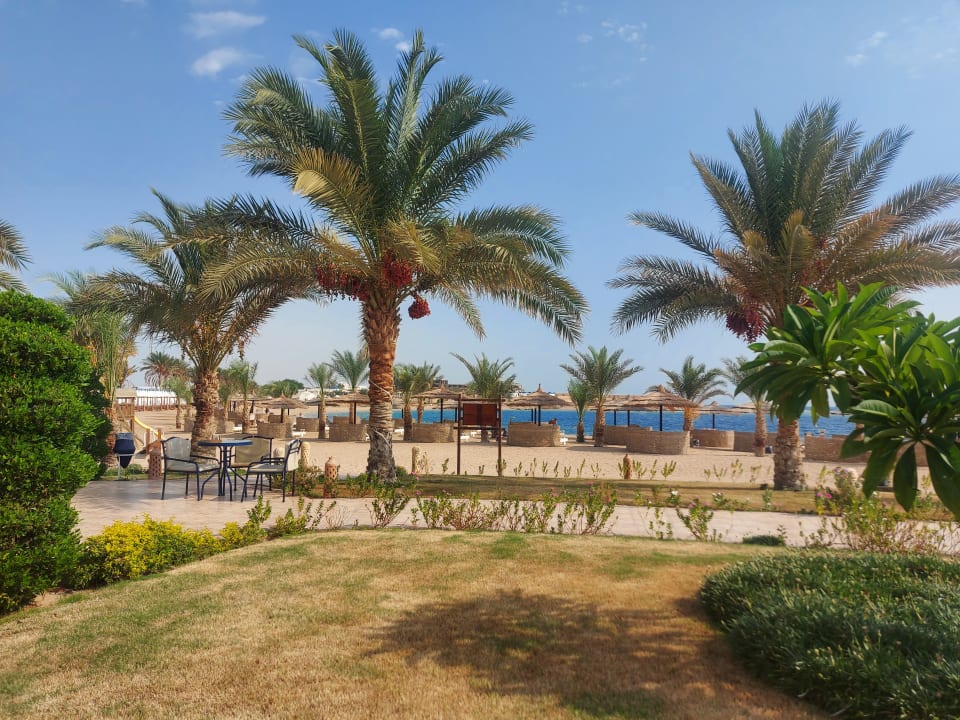 Gartenanlage Coral Sun Beach