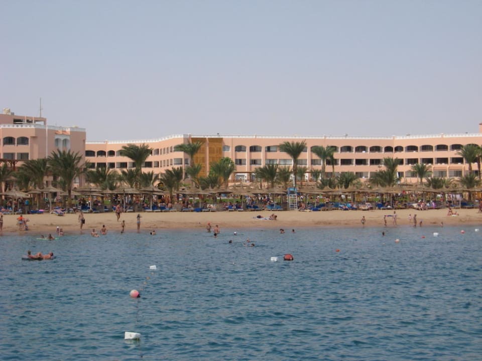 Ausblick auf Hotel und Strand Beach Albatros Resort