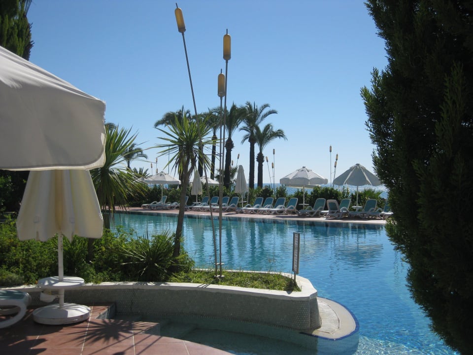 Einfach schön PALOMA Perissia