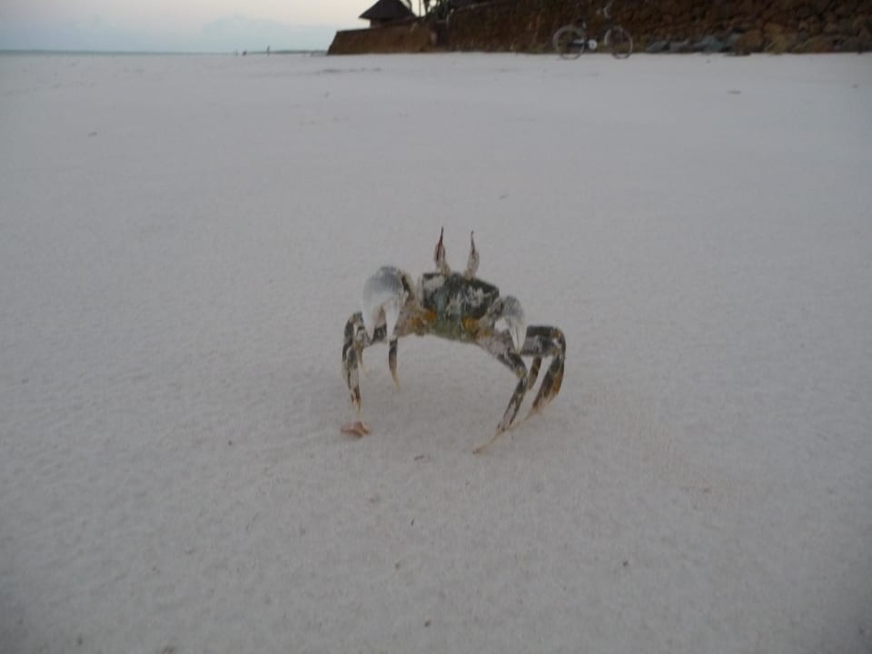 Krabbe Neptune Village Beach Resort & Spa