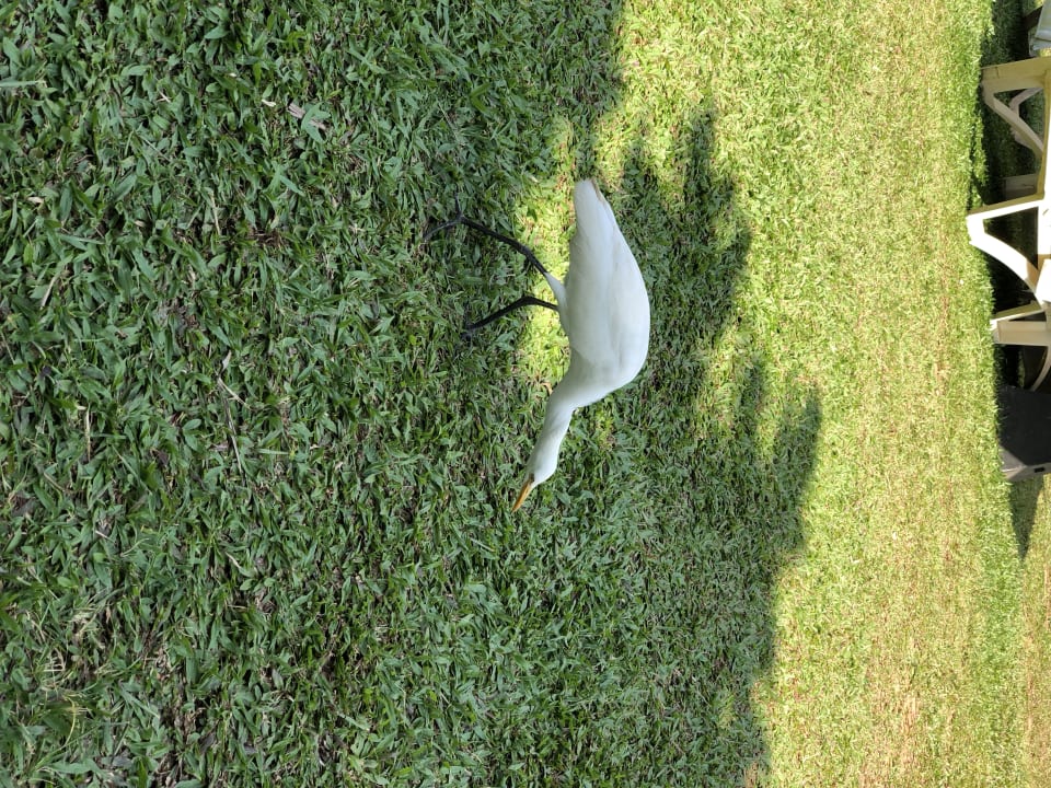 Außenansicht Turyaa Kalutara