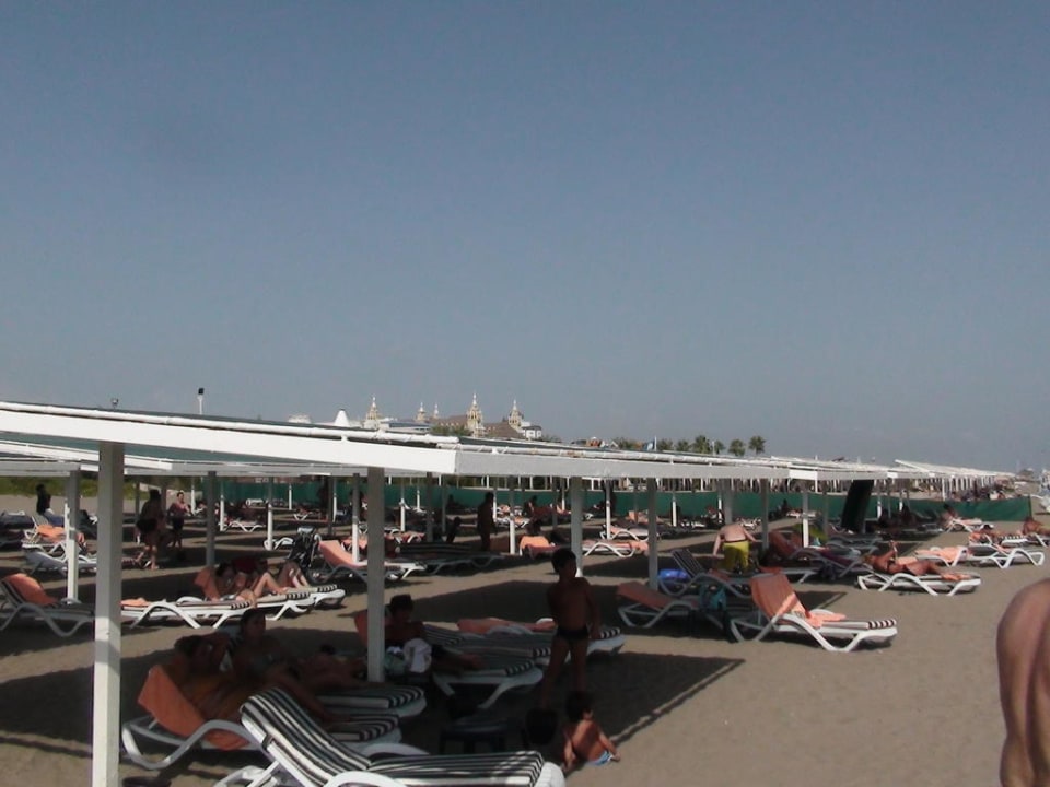 Sunny Sherwood Exclusive Lara