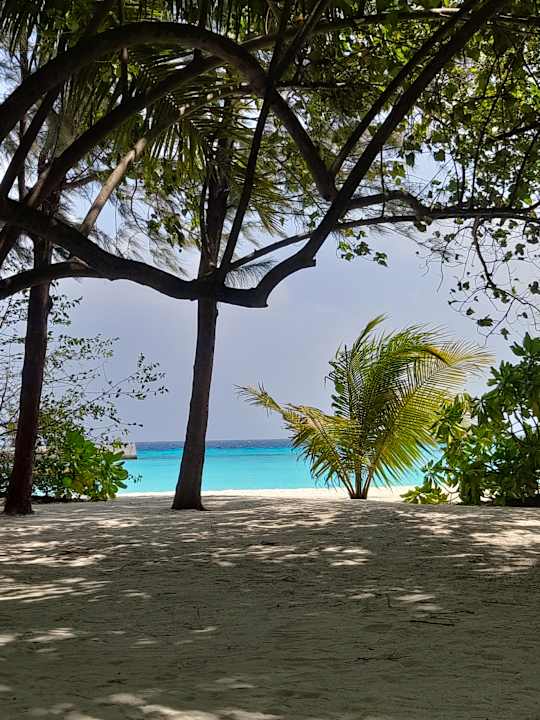 Ausblick Summer Island Maldives