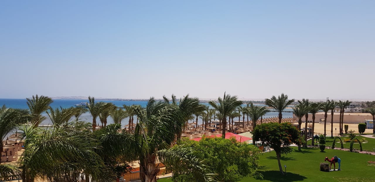 Ausblick Pickalbatros Palace Resort