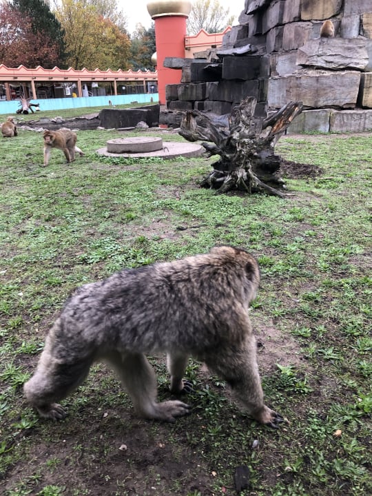 Sport & Freizeit Safariland Stukenbrock Erlebnisresort