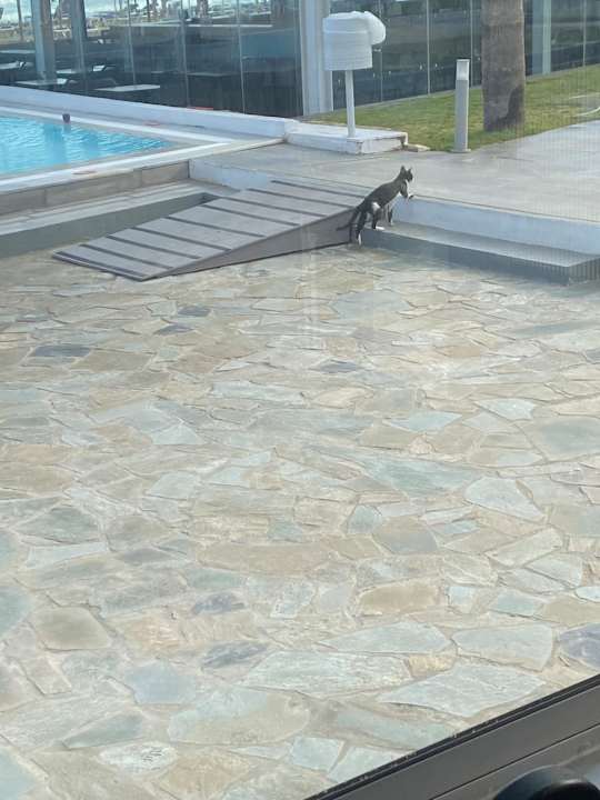 Außenansicht allsun Hotel Carolina Mare