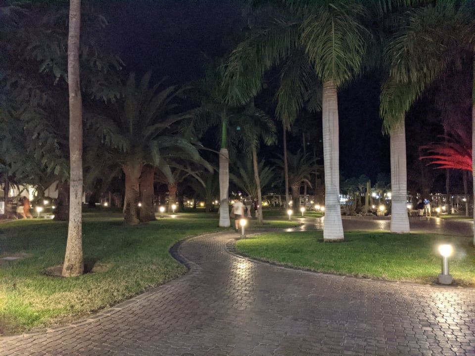 Gartenanlage Hotel Riu Gran Canaria
