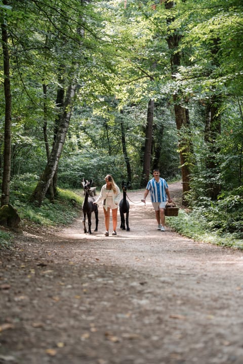 Sport & Freizeit Gartenhotel Moser