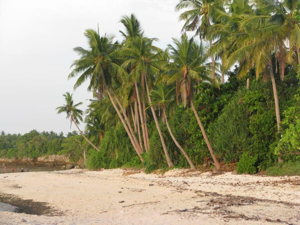 Einsamer Strand Hotel La Estrella Beach Resort