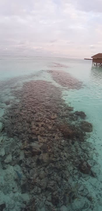 Sport & Freizeit Meeru Maldives Resort Island