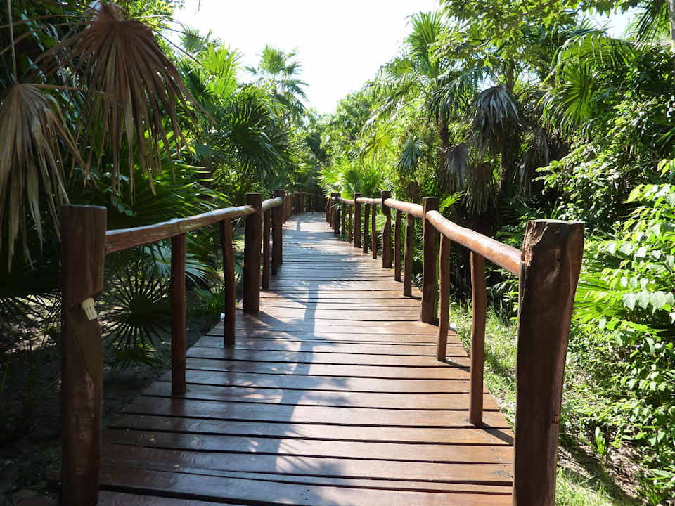 Verbindungswege durch die Mangroven Grand Palladium Kantenah Resort & Spa