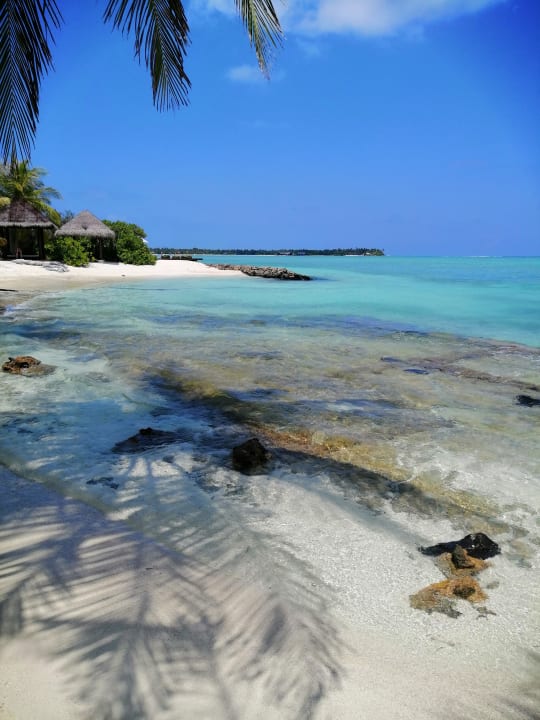 Strand Summer Island Maldives