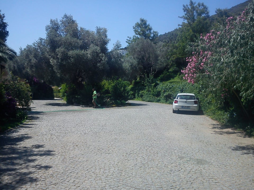 Hotel Eingang vorne Links Hotel Zeytinada