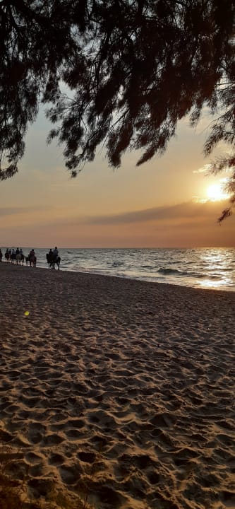 Strand TUI BLUE Palazzo del Mare