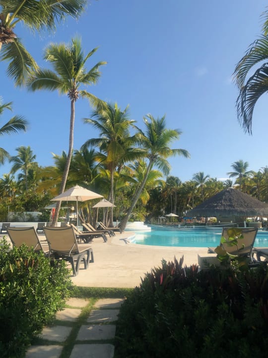 Pool Catalonia Punta Cana - All Inclusive