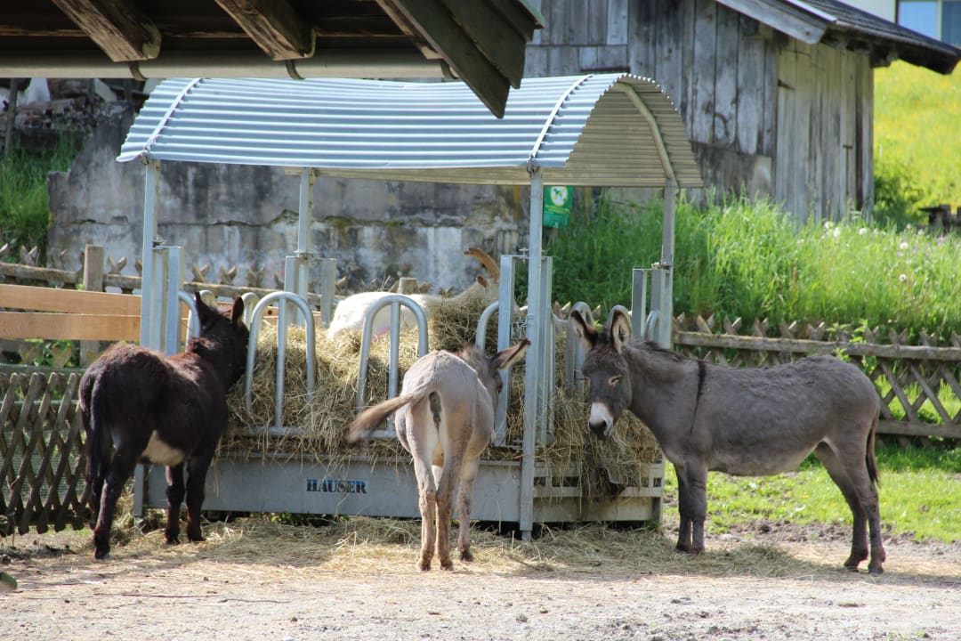 Landhof Landhof Ellmau