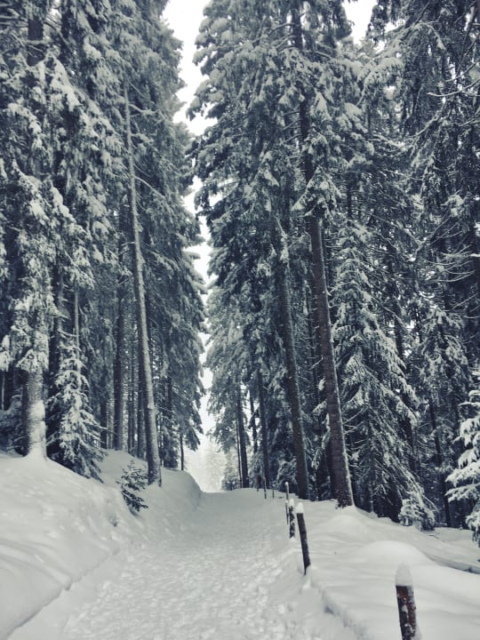 Gartenanlage Hüttendorf Maria Alm