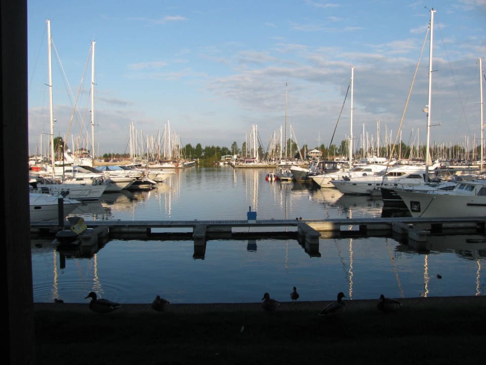 Blick von der Terrasse Roompot Ferienpark Cape Helius