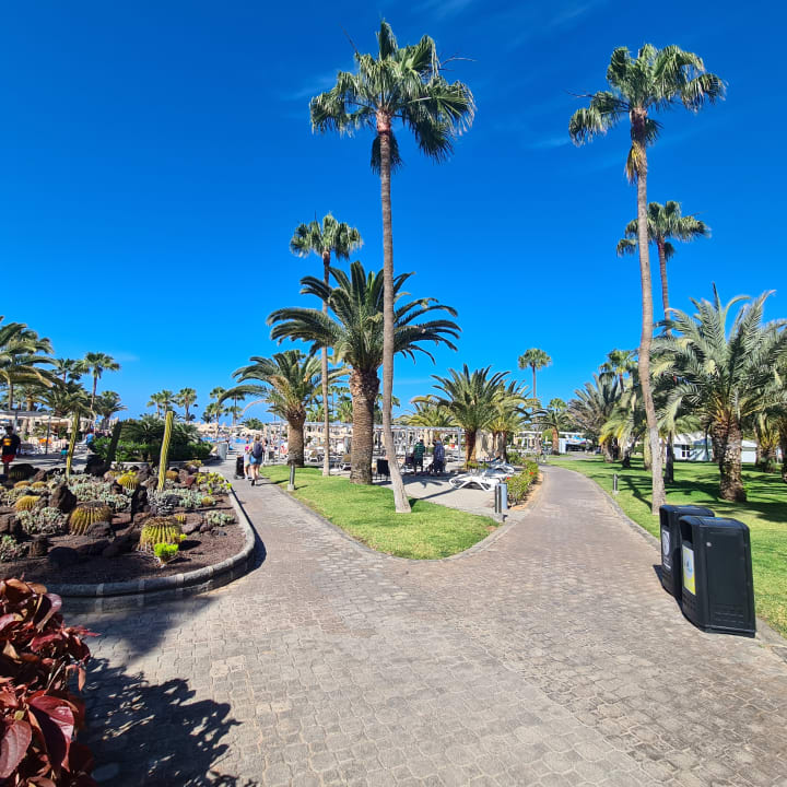 Gartenanlage Hotel Riu Gran Canaria