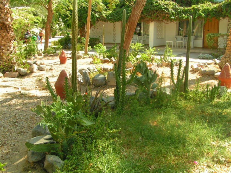 Gartenanlage Shams Safaga Resort
