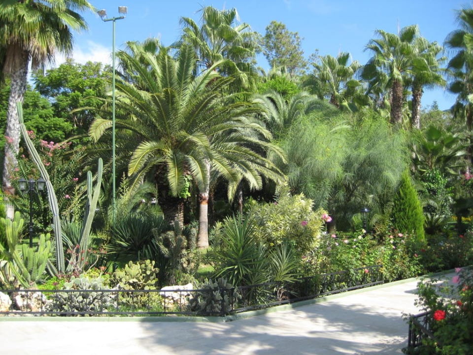 Garten des Delphin Botanik Botanik Hotel & Resort