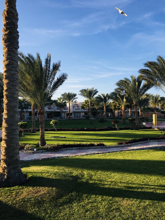 Gartenanlage Three Corners Sea Beach Resort