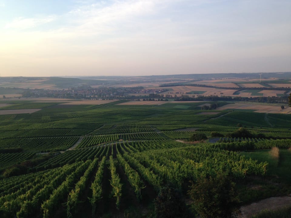 Ausblick vom Zimmer hinunter auf die Weinberge Hofgut Wißberg - Das Weinberghotel