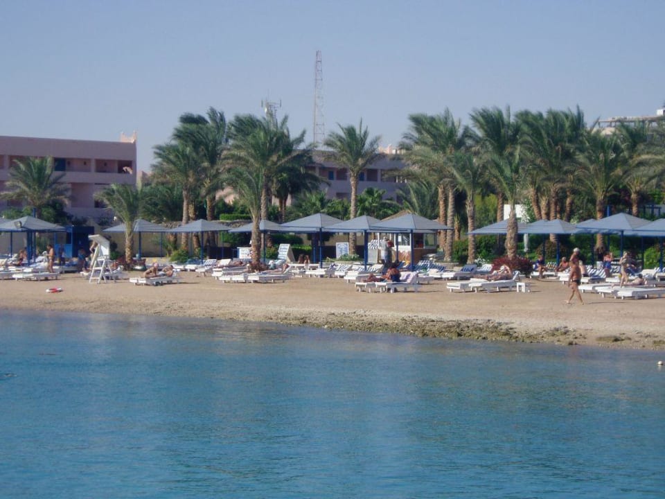 Zya regina resort and aqua park hurghada фото
